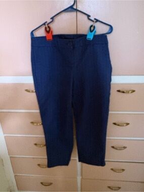 Hilary Radley Navy Blue Women's Straight Leg Dress Pants
